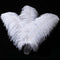 Larryhot White Large Ostrich Feathers - 16-18 inch 10pcs Feathers for Vase,Wedding Party Centerpieces and Home Decorations (White)...