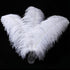 Larryhot White Large Ostrich Feathers - 16-18 inch 10pcs Feathers for Vase,Wedding Party Centerpieces and Home Decorations (White)...