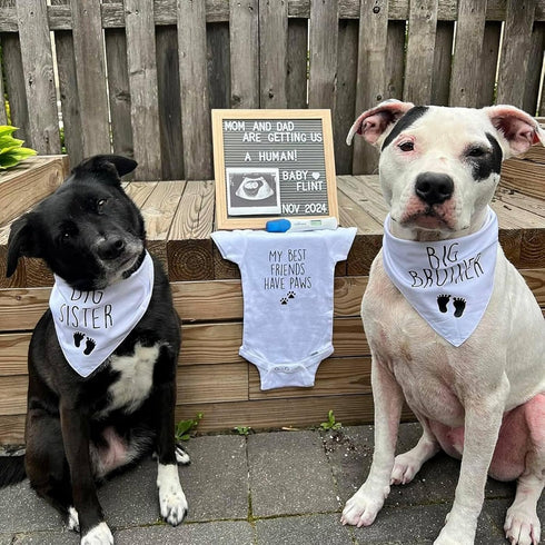 Blank Dog Bandanas Large-1PCS, DIY Solid White Triangle Scarf Premium Cotton Handkerchief or Bib, Personalized design Birthday/Party Fun Idea Gift...