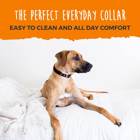 Mighty Paw Ultra Soft Dog Collar - Ultimate Comfort with Soft Neoprene Padding - All-Metal Adjustable Buckle for Large & Small Dogs - Mighty Stron...