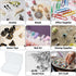 5 Pcs Mini Plastic Storage Containers Box with Lid, Small Storage Containers Travel Case 4x3x1 Inches Clear Rectangle Box Organizer for Collecting...