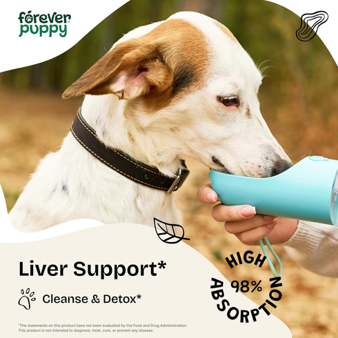 Liver Support for Happy Dogs - Milk Thistle Extract for Liver Detox - Liquid Dog Food Supplements for Liver Support and Cleanse - Milk Thistle Dro...