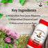 Dr. Christopher's Blood Stream Formula - Supplement for Blood Circulation and Vein Elasticity...