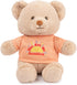 GUND “You are My Sunshine” Sustainable Message Bear with Orange T-Shirt, Teddy Bear Made from 100% Recycled Materials for Ages 1 and Up, Tan, 12”...