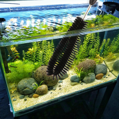 11 in 1 Fish Tank Aquarium Cleaning Brush Kit,Aquarium brushSutiable for Acrylic Fish Tank, and Plastic Fish Tank,Glass Fish Tank,Non Rusting,Fish...