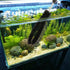 11 in 1 Fish Tank Aquarium Cleaning Brush Kit,Aquarium brushSutiable for Acrylic Fish Tank, and Plastic Fish Tank,Glass Fish Tank,Non Rusting,Fish...