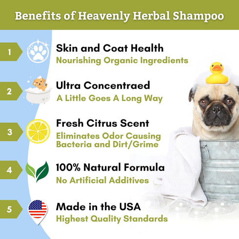 Wholistic Pet Organics Pet Shampoo Concentrate: Heavenly Herbal Organic Dog Shampoo and Conditioner - All Natural Puppy and Cat Shampoo for Dry, I...