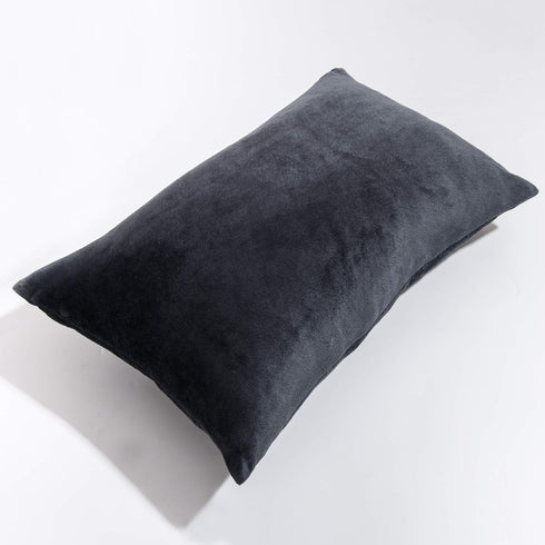 NTBAY 2 Pack Zippered Velvet Queen Pillowcases, Super Soft and Cozy Luxury Fuzzy Flannel Pillow Cases with Zipper, 20x30 Inches, Charcoal Grey...