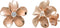 Honolulu Jewelry Company 14K Rose Gold Plated Sterling Silver CZ Plumeria Flower Nature Stud Earrings, 12mm...
