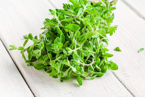Sweet Marjoram Herb Seeds - Non-GMO 0.25g, Approximately 1000 Seeds...