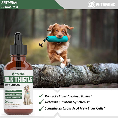 Milk Thistle for Dogs | Supports Liver and Kidney Health | Milk Thistle for Dogs Liver Support | Dog Milk Thistle | Dog Liver Support | Dog Liver ...