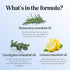 Defend Cleaning Essential Oil Blend - Pure Undiluted Natural Purification Essential Oils for Diffusers for Home Cleansing - Aromatherapy Essential...