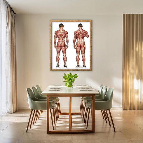 Posterizer 1 pcs-anatomical illustration of the human muscular system 1-Teachers & Classrooms-Abstract & Modern Art-School and classroom art- unfr...