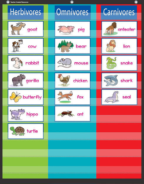 3 Column Pocket Chart (34" x 44"), TCR20324...