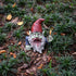 G150028 Zombie Gnome Garden Statue Sculpture, Scary Gnome, Halloween Decoration...
