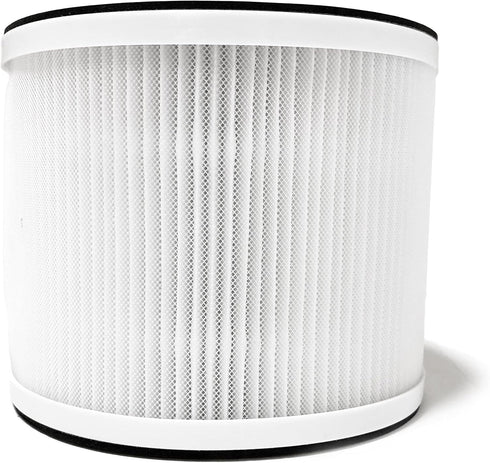 Nispira True HEPA Filter Replacement Compatible with Rigoglioso Air Purifier GL-2109 GL2109. 1 Pack...