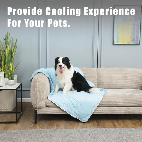 Pet Cooling Blankets & Sleeping Mat- Reversible Washable Durable Dog Bed Cover, EZ Clean. Perfect Indoors, Outdoors or in The Car.(Large, Blue-Blu...