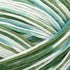 Lion Brand Yarn Bundle of Love Yarn, Enchanted Forest......