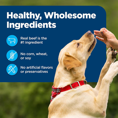 Blue Buffalo Nudges Bite-size Chewy Dog Treats with Real USA Beef, Made with Natural Ingredients, Great for On-the-Go, 5.5-oz. Container...