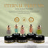 Musk Tahara Collection - Luxury Perfume From Dubai - Long Lasting Pure Concentrated Perfume Oil Fragrance Alcohol Free French Lavender, White Musk...