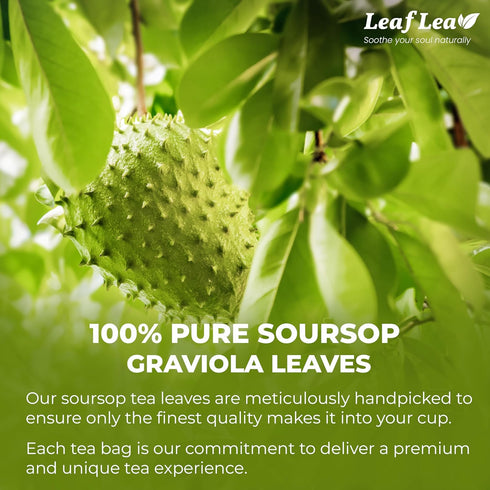 LeafLea Premium Soursop Leaves Tea Bags, Pure & Natural Soursop Tea, Graviola Leaves Tea, Hoja Guanabana Tea, 40 Herbal Tea Bags, Natural Digestio...