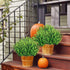 Ouddy Decor 8 Bundles Artificial Greenery Stems Fake Plants Outdoor UV Resistant Faux Plastic Boxwood for Kitchen Office Garden Porch Farmhouse Wi...