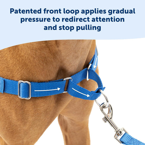 PetSafe Easy Walk No-Pull Dog Harness - The Ultimate Harness to Help Stop Pulling - Take Control & Teach Better Leash Manners - Prevent Pets Pulli...