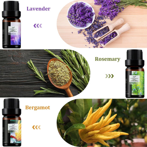 Fresh Essential Oils Set, 6x10ml Aromatherapy Oil Gift Kit for Diffuser, Fragrance, Humidifiers, Air Purifier- Tea Tree, Bergamot, Rosemary, Laven...
