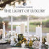 Colonial Candle Unscented Taper Candle, Classic Collection, Mulberry, 12 in, Pack of 12 - Up to 10 Hours Burn...