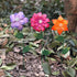 Floral Garden Stake Decor,Glow in Dark Outdoor Plant Pick Water Proof Metal Flower Stick for Lawn Yard Patio,Pathway Ornament,Set of 3...