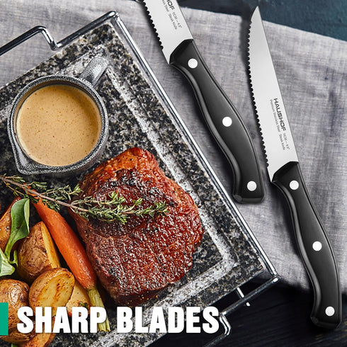 HAUSHOF Steak Knives Set of 4, Premium Stainless Steel Serrated Steak Knife Set with Gift Box, Full Tang and Ergonomic Handle, Gifts Knife Set for...