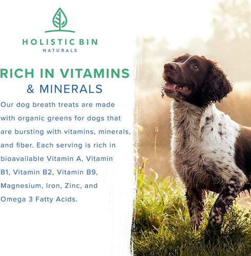 Canine Chlorella Tablets with Human Grade Fermented Chlorella for Dogs | Natural Dog Breath Freshener & Immune Booster Supplement | Dog Greens wit...