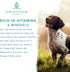 Canine Chlorella Tablets with Human Grade Fermented Chlorella for Dogs | Natural Dog Breath Freshener & Immune Booster Supplement | Dog Greens wit...