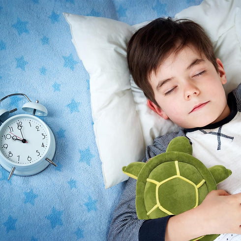 Cute Sea Turtle Plush Toys 9.8 inch Soft Turtle Stuffed Animals, Turtle Plushies Toy Birthday Gifts for Kids Boys Girls...