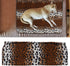Fleece Pet Blanket, Effectively Isolate Stains Warm and Comfortable Blanket Kennel Blanket for Camping for Travel for Hotel for Beach(Leopard Prin...