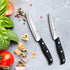 2PCS Paring Knife - Little Cook Paring Knife Set - Ultra Sharp Kitchen Knife - Fruit Knife - German stainless Steel - ABS Handle...