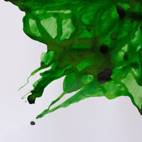 Winsor & Newton Drawing Ink, 14ml Bottle, Apple Green...