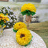 Tissue Paper Sunflowers Decorations for Wall Birthday Party Backdrop Home Decoration Pack of 6...