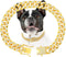 Gold dog chain Diamond Gold chain dog collar Walking Metal Chain Collar with Design Secure Buckle Pet Collar Jewelry Accessories dog necklace for ...