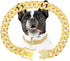 Gold dog chain Diamond Gold chain dog collar Walking Metal Chain Collar with Design Secure Buckle Pet Collar Jewelry Accessories dog necklace for ...