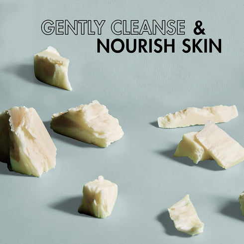 SheaMoisture Soothing Body Wash for Acne Treatment African Black Soap Paraben Free Body Wash ,13 Fl Oz (Pack of 1)...