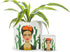 Abbott Collection 27-Mexico-SM Small Lady & Cactus Planter, White...