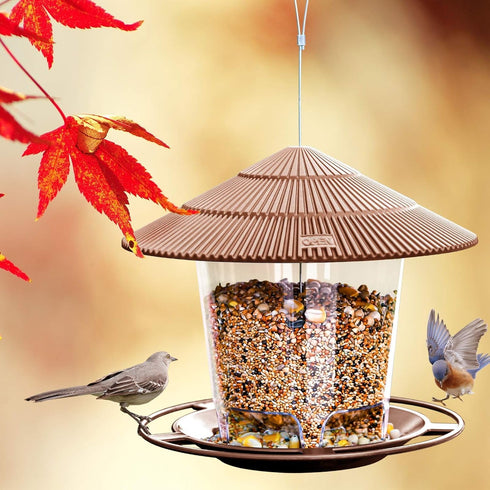 Hanging Bird Feeder Squirrel Proof for Outdoor Wild Bird Seed, Brown...