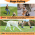 BARKLESS Dog Head Collar, No Pull Dog Halter with Soft Padding, Reflective Training Tool for Medium Large Dogs, Labrador, Stops Heavy Pulling and ...