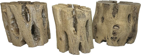 3 Natural Cholla Wood Air Plant Display Holders 2 inch Individually Unique Round Decorative Stands...