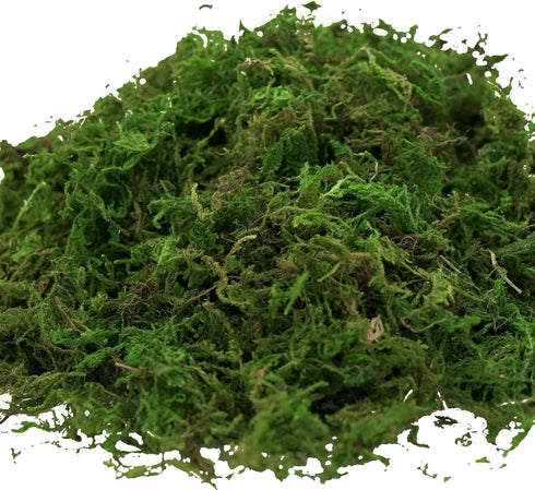 Usmola Fake Moss, Artificial Green Moss for Potted Plants Fairy Garden Accessories, 4OZ (Fresh Green)...
