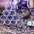 6-Tube Fish Shrimp Feeder Glass Breeding Tube, Aquarium Fish Tank Pipe Shelter Tube Fish Tank Shelter Decorations...