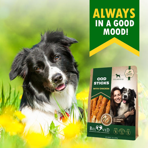 Beloved Pets Cod Sticks Dog Treats Chicken Wrapped - All Natural Rawhide - Free & Grain Free Long Lasting Chews for Large & Small Dogs - Dried Pet...