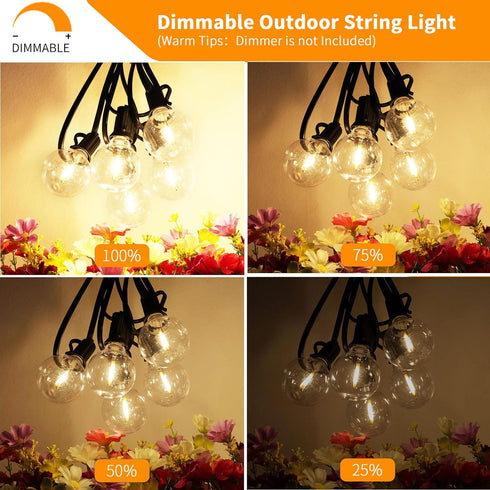 Svater Outdoor String Lights LED 25 FT, Patio Globe Lights with 12+1 Plastic G40 Bulbs, Waterproof Dimmable Hanging Light for Outside Backyard Bis...
