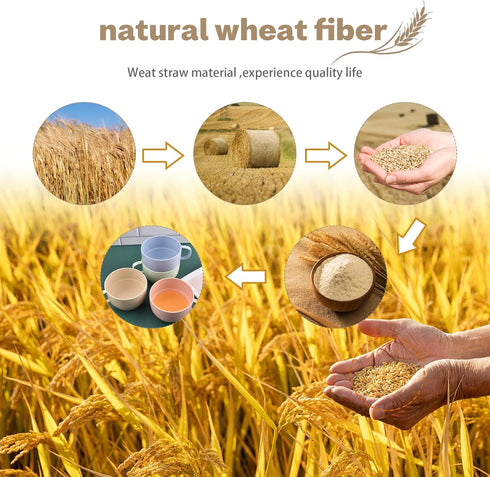 Lnrkai 5Pcs Camping Cups Plastic Set with Handle, Lightweight Breakfast Cups Reusable Unbreakable Mug with Pitcher Jug for Juice, Coffee, Tea, Wat...